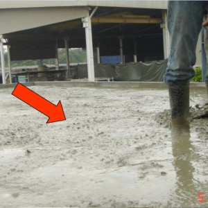 Pouring a Layer of Normal Concrete (50-75mmTHK)